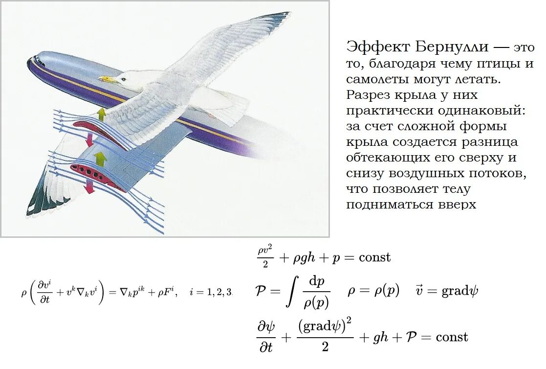 Формула скорости самолета. Уравнение Бернулли в аэродинамике формула. Подъемная сила крыла самолета уравнение Бернулли. Уравнение Бернулли крыло самолета. Аэродинамика крыла самолета подъемная сила.