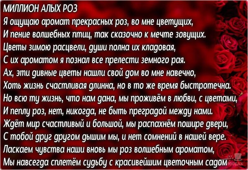 Миллион алых роз. Стихи миллион алых. Песни миллион алых роз. Миллион алых роз стихи. Текст песни пугачева миллион роз