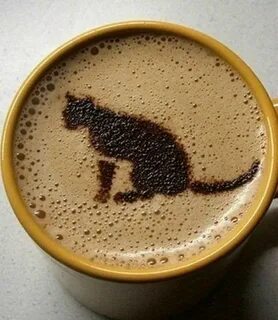 Кофейный гуру