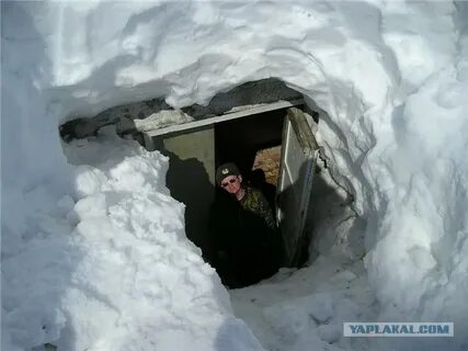 Занеси домой