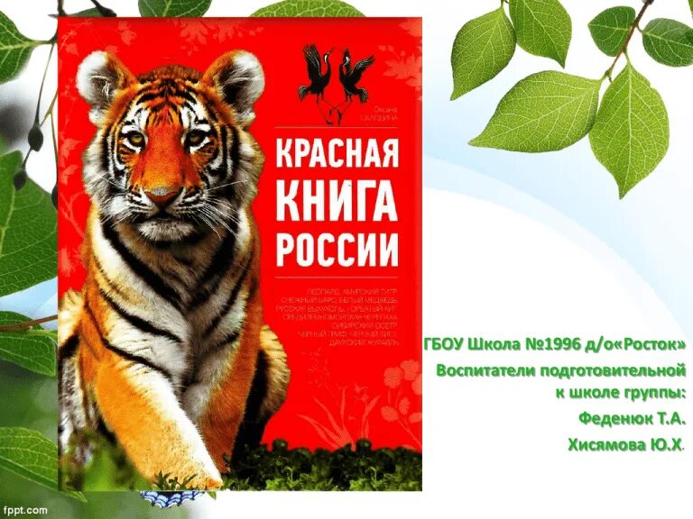 Занимательная зоология. Тигр рисунок на белом фоне. Амурский тигр красная книга. Книги про тигров художественные. Pdf tiger.