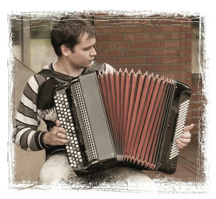 Баянисты россии. Баянист притворяется новичком. Нино портелли аккордеон. Баянист притворяется новичком. Владимир давыдов аккордеонист.