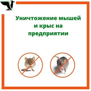 Комплекс уничтожения грызунов