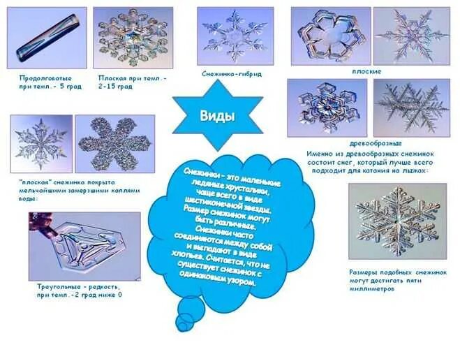 Виды снежинок. Разнообразие форм снежинок. Какие бывают виды снежинок. Формы снежинок в природе.