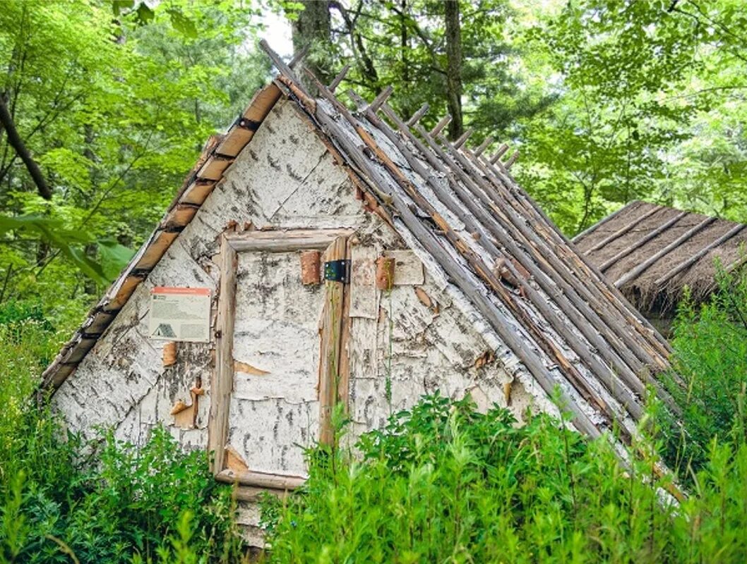 Туэдзи удэгейцев. Жилище удэгейцев. Зимнее жилище удэгейцев. Летнее жилище удэгейцы.