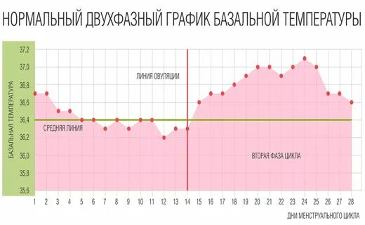 Температура перед месячными сколько