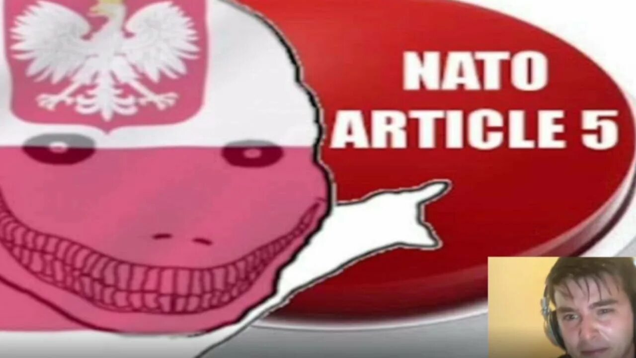 NATO article 5 Poland. Пятый артикль НАТО. НАТО артикль 5 Польша. Мемы про Польшу.