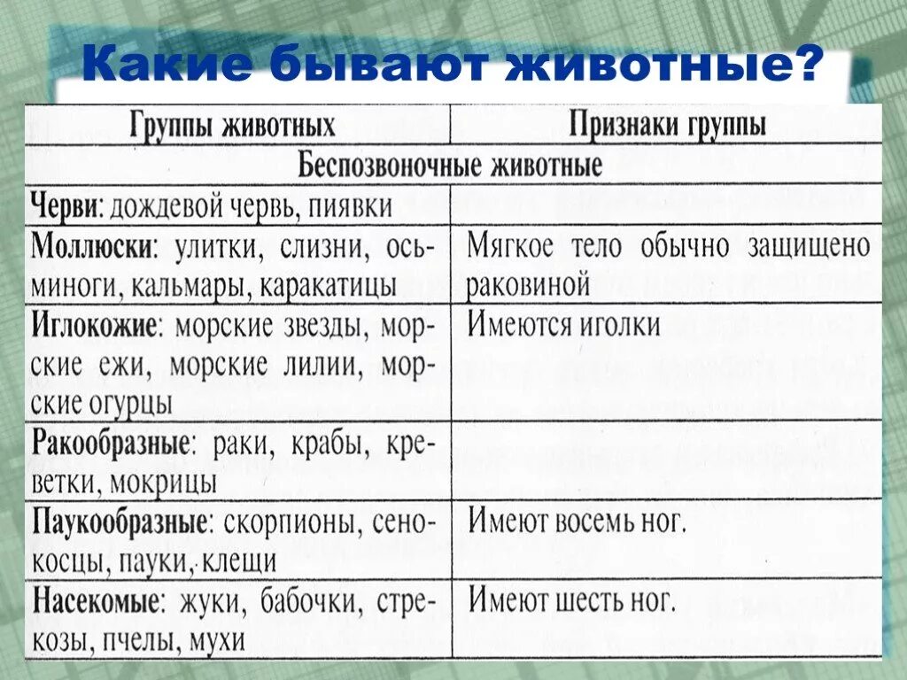 Питание животных таблица. Признаки групп животных. Таблица классы животных окружающий мир 3 класс. Таблица классы животных окружающий мир 3 класс. Названия групп животных.