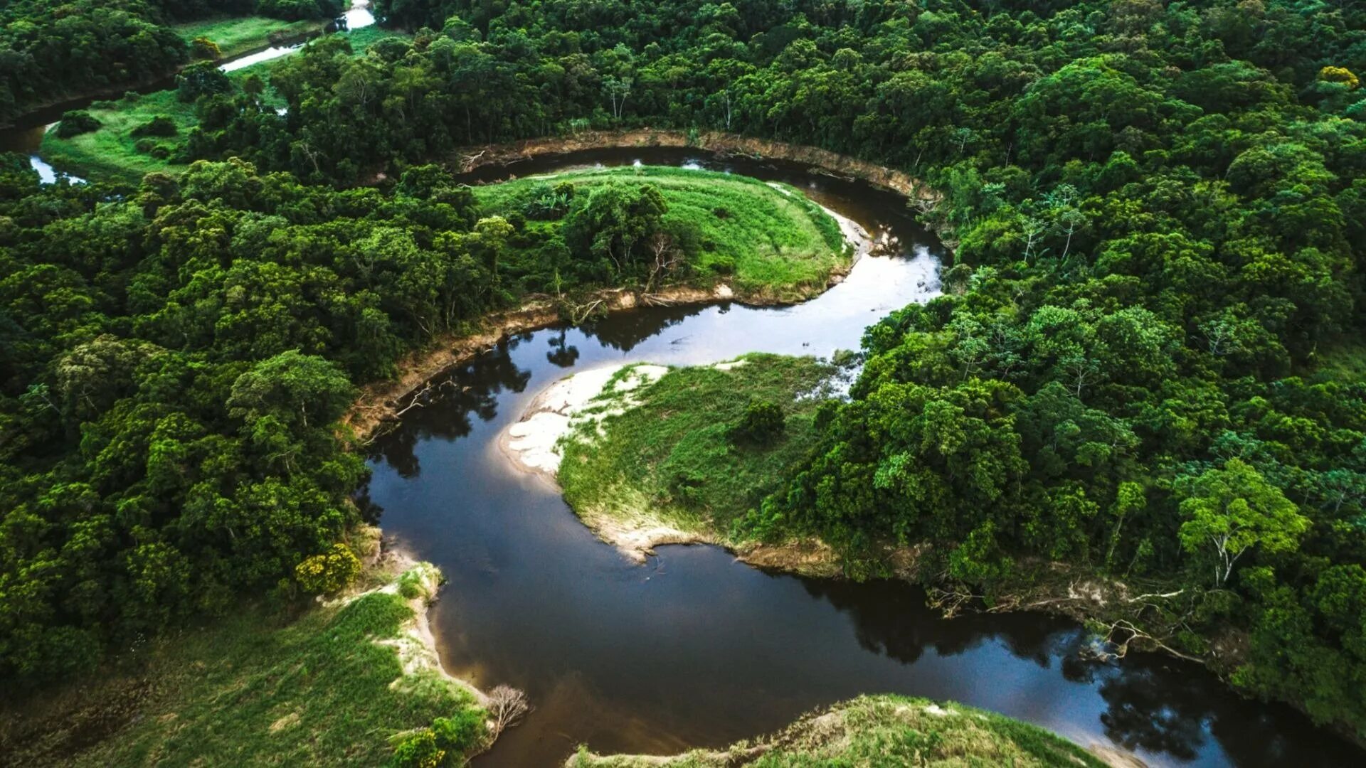 Амазонка сток. Река Амазонка в Бразилии. Бразилия Амазонская низменность. Южная Америка река Амазонка. Тропические леса амазонки в Бразилии.