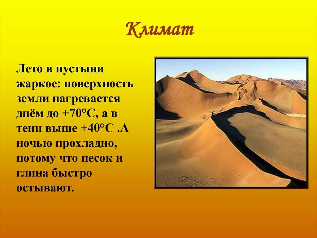 Какие климатические условия в пустыне. Климат пустыни. Климат акутыни. Пустыни информация. Зона пустынь.