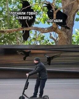 Клювать