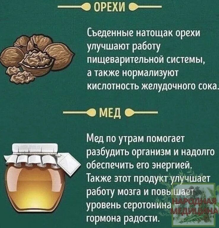 Мед при повышенной кислотности. Что полезно кушать с утра на голодный желудок. Что можно кушать на голодный желудок. Продукты на голодный желудок. Продукты которые нельзя на голодный желудок.