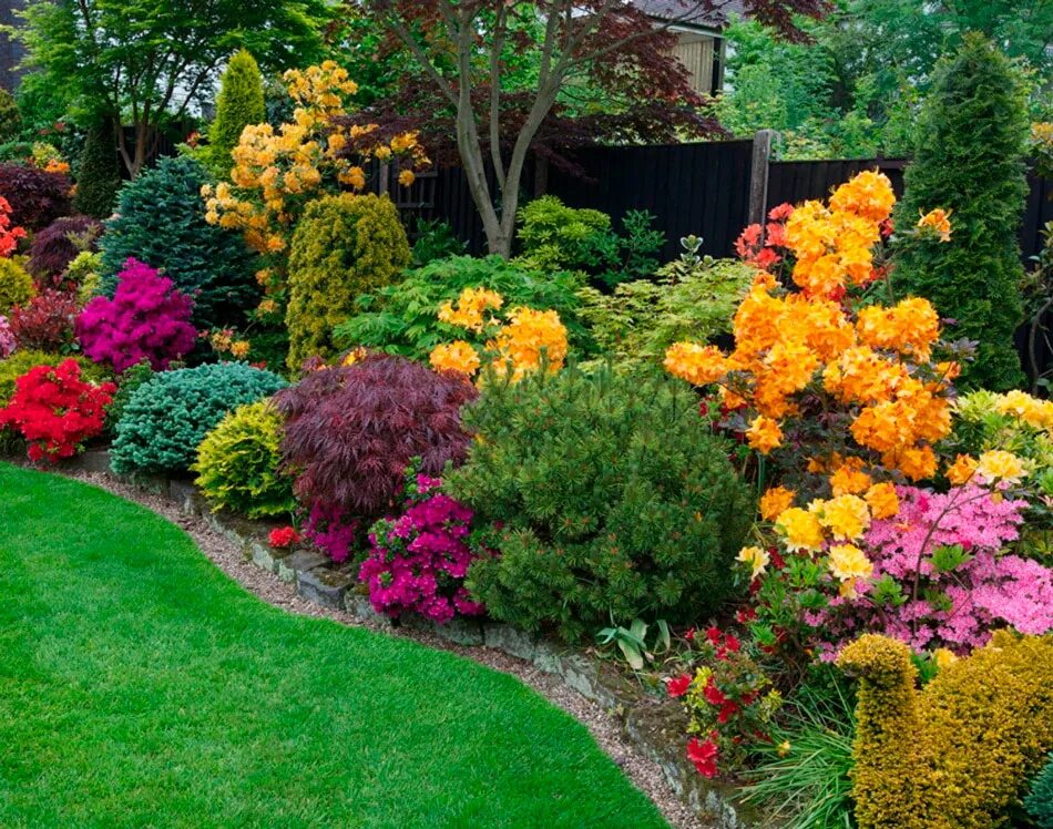 Какие декоративные кустарники можно посадить. Миксбордер с кустарниками. Декоративные растения для сада. Декоративные кустарники для сада. Декоративные цветы для сада.