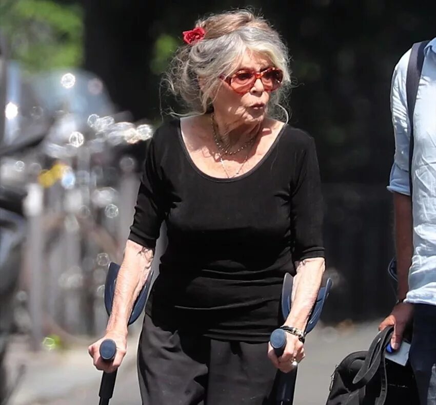 бриджит бардо сейчас 2021. брижит бардо 2020. бордо бриджит сейчас. бордо бриджит сейчас. бриджит бардо сейчас 2022.