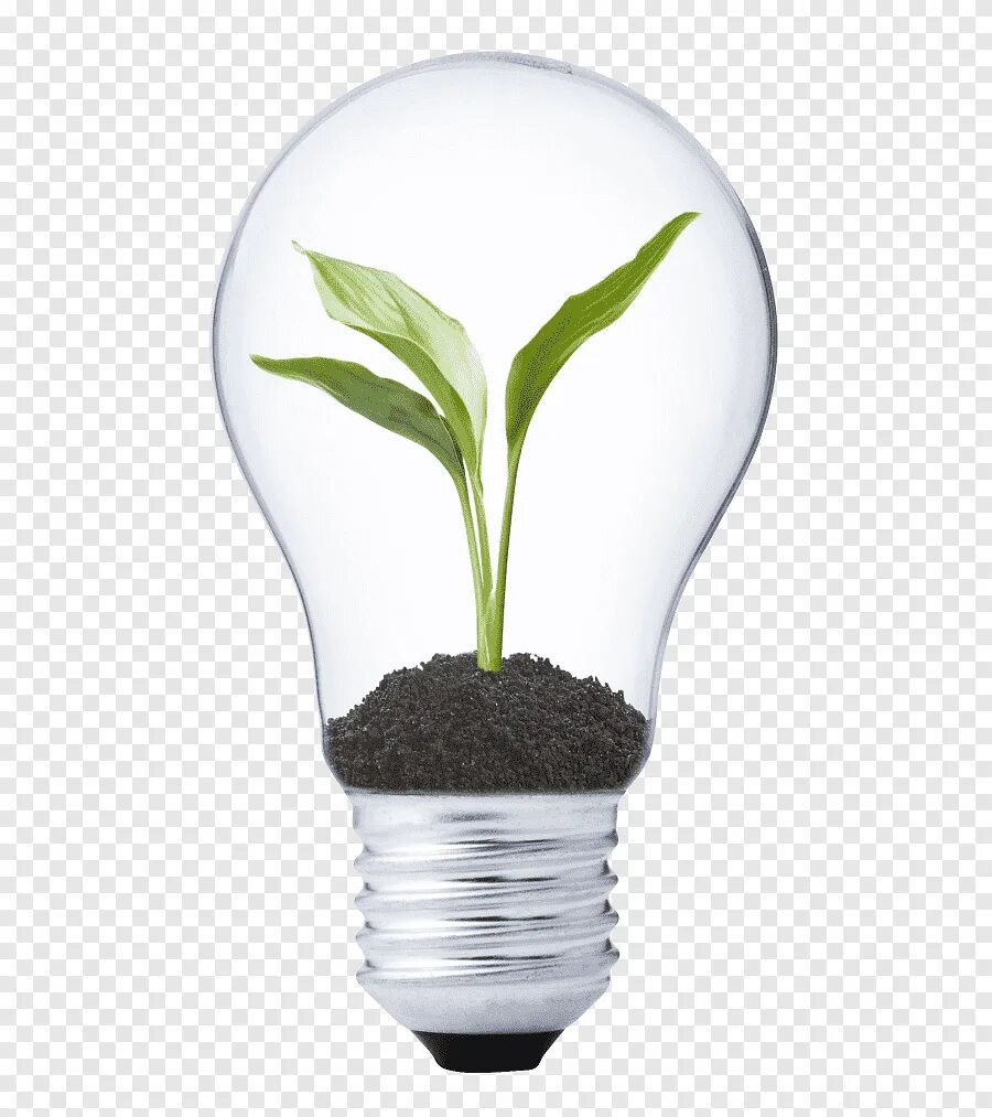 Энергоэффективность картинки. Природные энергетики. Природа в лампочке. Инновации для сбережения природы. Экология и энергосбережение.