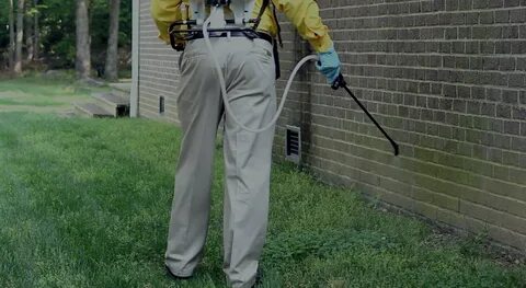 Garden Pest Control Dubai