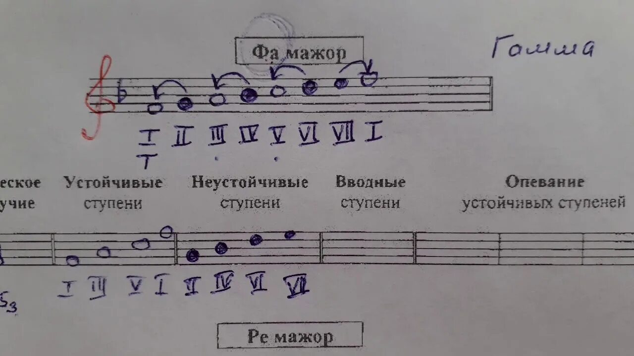 Устойчивые ступени в гаммах соль мажор. Гамма Ре мажор ступени устойчивые неустойчивые вводные опевание. Гамма соль мажор вводные ступени. Ступени в фа мажоре по сольфеджио. Написать ре мажор