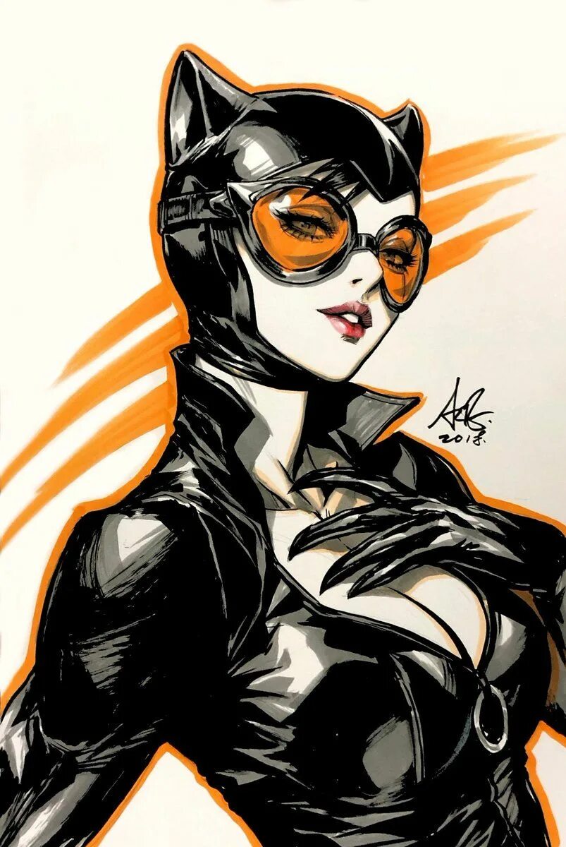 Селина кайл dc comics. Catwoman селина кайл 2004. Catwoman селина кайл. Селина кайл с кошками. Селина кайл dc.