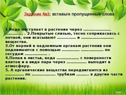 Вставьте в текст почва пропущенные слова