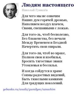 Кенгуру стихотворение гумилева