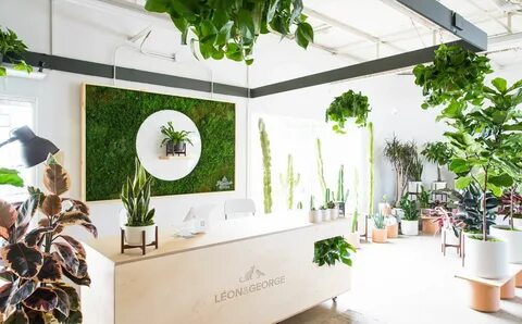 Show plant