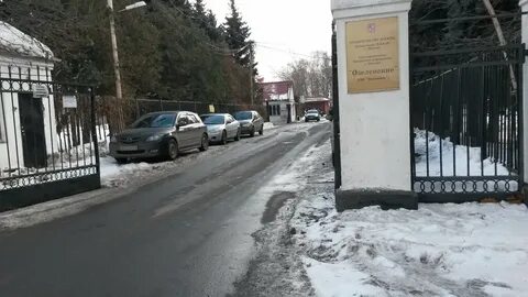 Садовый центр поселок ульяновского лесопарка