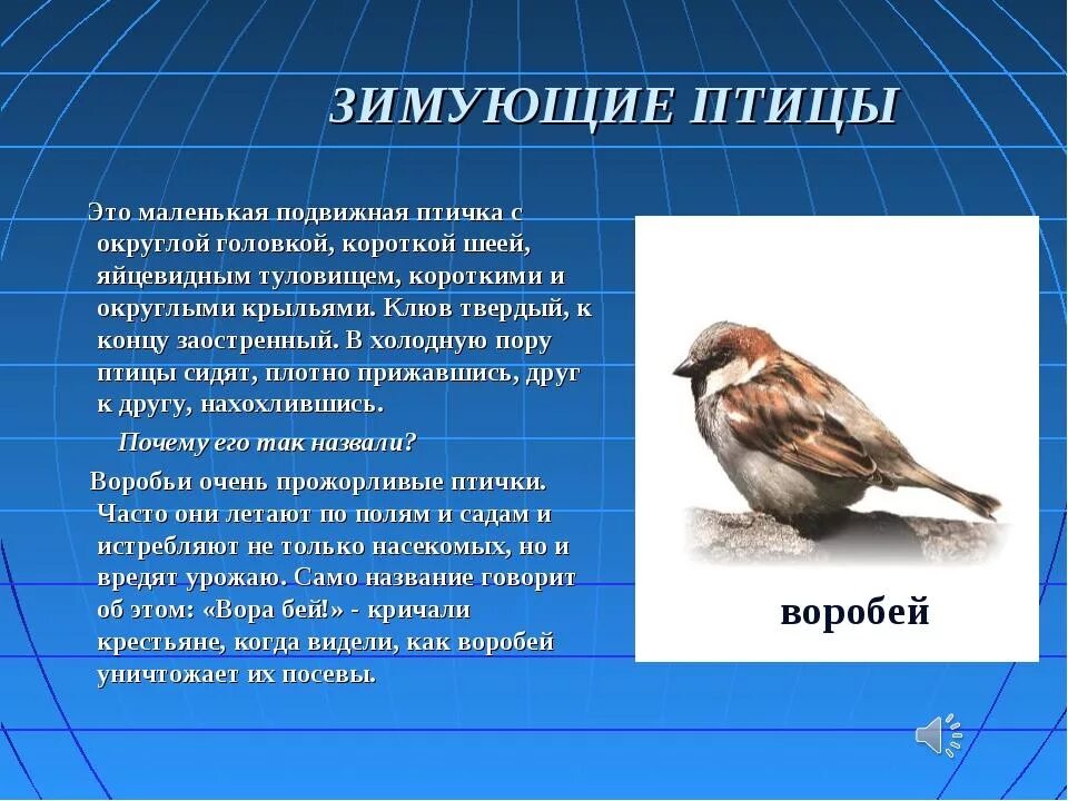 Сообщение о птице 2 класс. Птицы слайд. Птицы для презентации. Презентация про птиц 2 класс. Доклад про птиц.