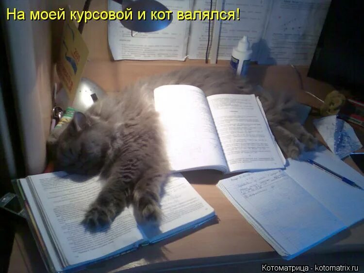 Кот мешал. Кот с тетрадкой. котик делает уроки. кот на уроке. коты на уроке.