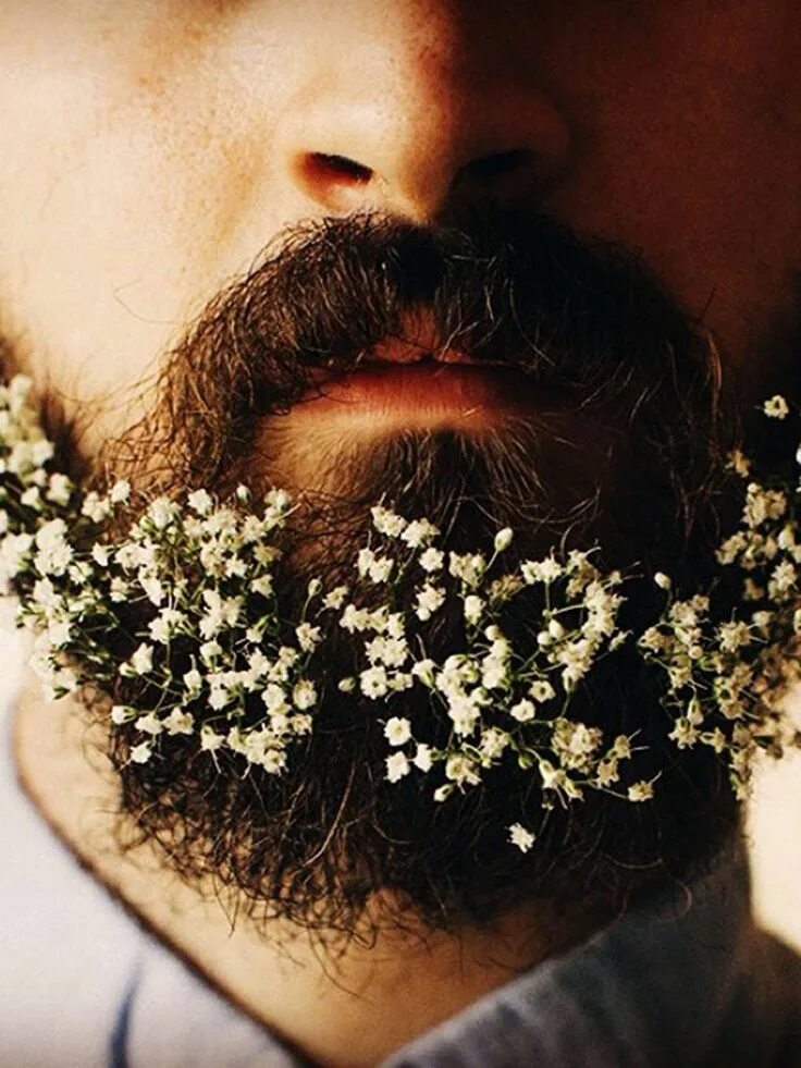 Перхоть на бороде. Борода. Цветы в бороде. Борода с цветочками. Мужчина с цветами в бороде.