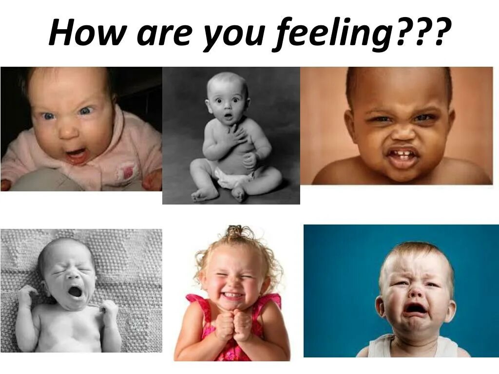 How are you doing today. How are you feeling?. How are you feeling Scale. How is your feeling. How are you feeling today Scale.