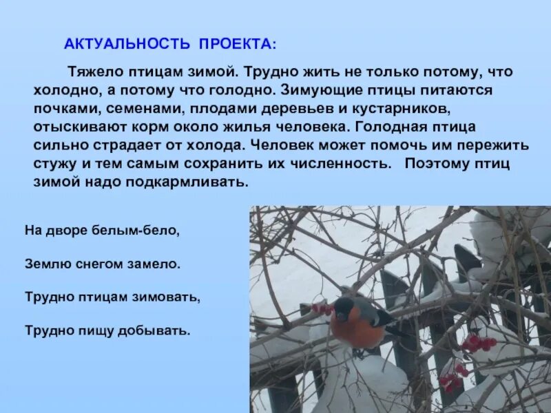 Иду кормушки прикреплять! (Лидия Серова) / Стихи.ру
