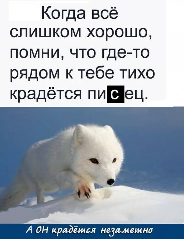 Тише тише тишина ноты. Стих октябрь крадется по дорожкам. Песня тише тише крадутся ниже. Песня тише тише крадутся ниже. Песня тише тише крадутся ниже.