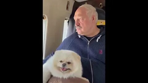 Шпиц лукашенко