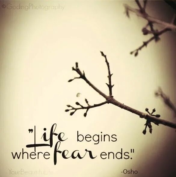 Where are you begin. Life begins where fear ends заставка. seeking light: where fears rise.