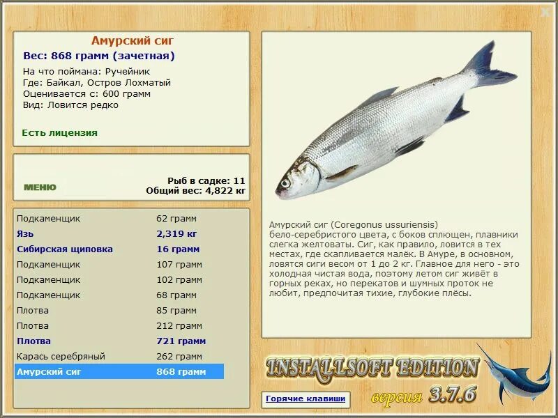 Русская рыбалка сиг