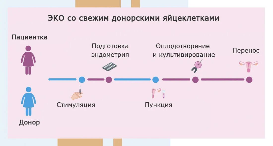 Эко от донора. Донорство ооцитов схема. Экстракорпоральное оплодотворение схема. Эко с донацией яйцеклетки. Донорские программы эко.