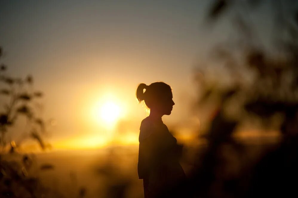 книга думбадзе. слушать вижу солнце. я видел солнце nechaev. слушать вижу солнце. я вижу солнце книга.