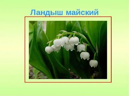 Май 2 класс