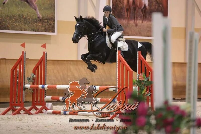 Костюмированный конкур. Кск дивный логотип. Костюмированные соревнования на лошадях. Конкур на новый год. Марат ганеев конкур.