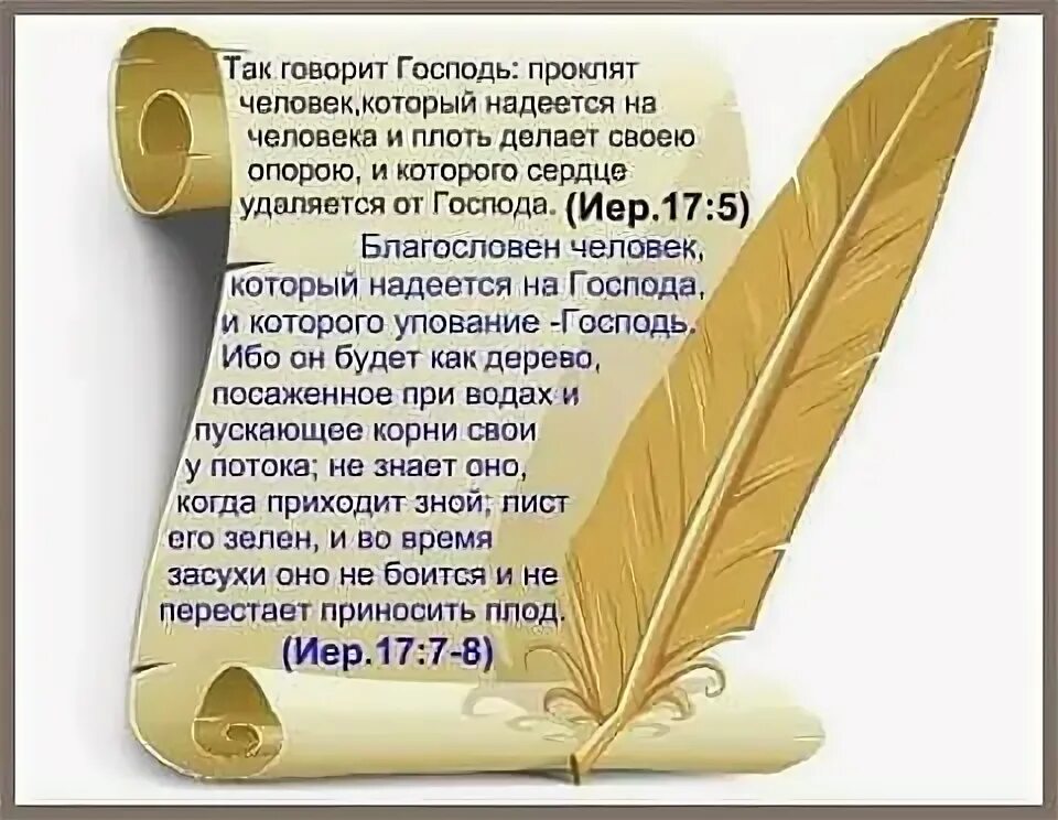 Проклят человек надеющийся на человека. Благословен господь. Блажен человек уповающий на господа. Надеяться на бога. Благословен человек который надеется на господа и которого.