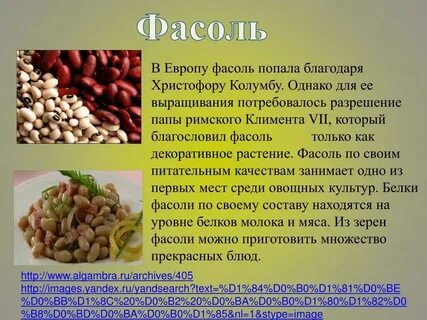 Сколько белка в фасоли на 100 грамм