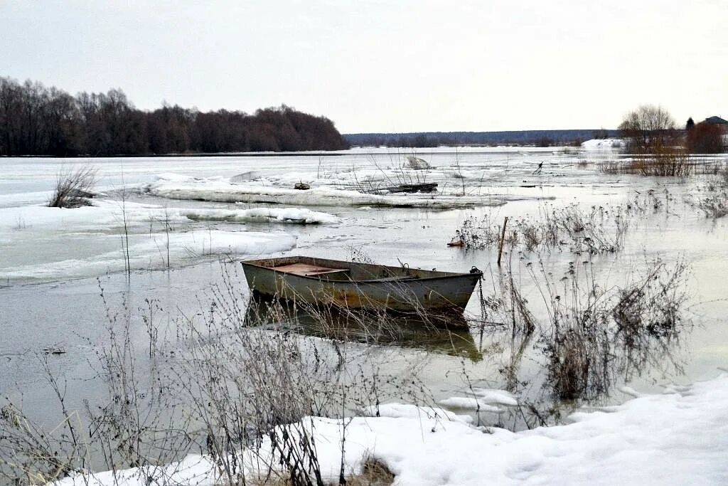 Уровень воды в оке в луховицах сегодня. Река Ока Шилово. Половодье Серпухов 2023. Шилово Ока паводок. Половодье на Оке в Серпухове 2023 году.