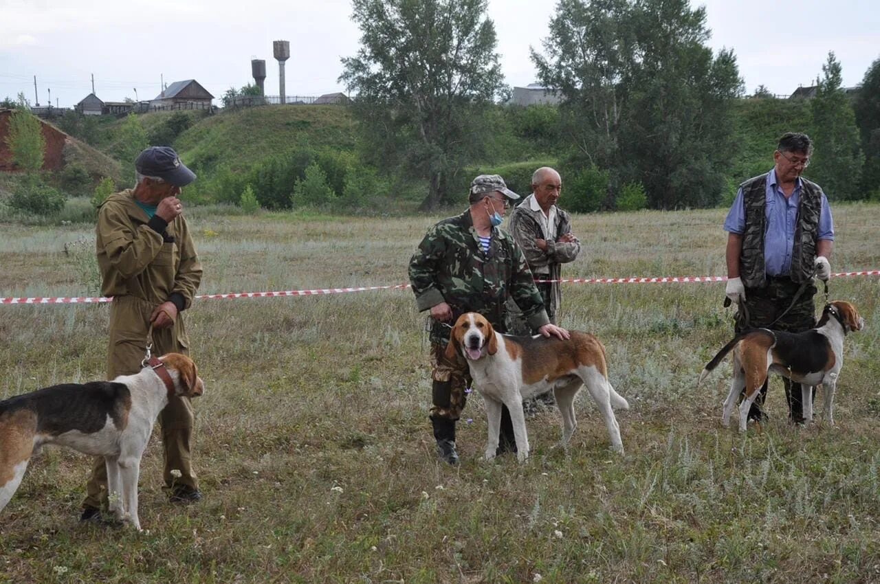 Выставка охотничьих. Охота и рыболовство на руси 2019. Всероссийская выставка охотничьих собак 2013. Выставка охота и рыбалка 2021. Выставка охотничьих.
