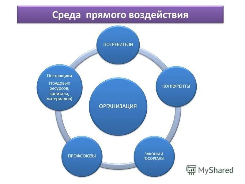 Микросреда предприятия. Поставщик потребитель. Среда косвенного воздействия на организацию. Факторы внутренней среды прямого и косвенного воздействия. Участники каналов сбыта.