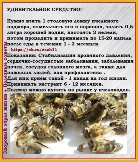 Препараты содержащие яд пчел. В каких случаях пчелиный яд является лекарством. Яд пчёл полезен. Свойства пчелиного яда. Может ли пчелиный яд быть лекарством 2 класс.