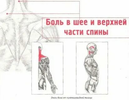 Почему болит область сосков