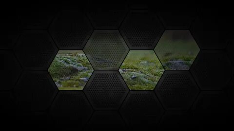 Пентагон играть
