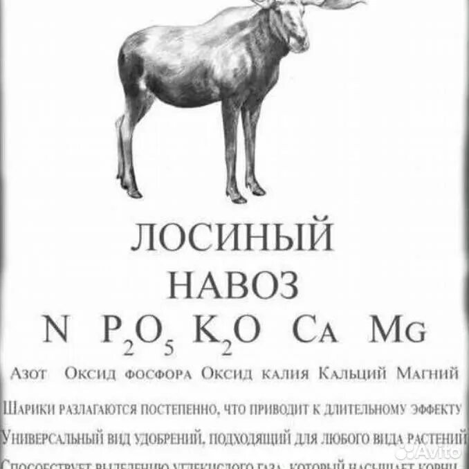 Лосиный помет. Лосиный навоз. Как выглядит Лосиный помёт. Для чего Лосиный помет. Лосины помет