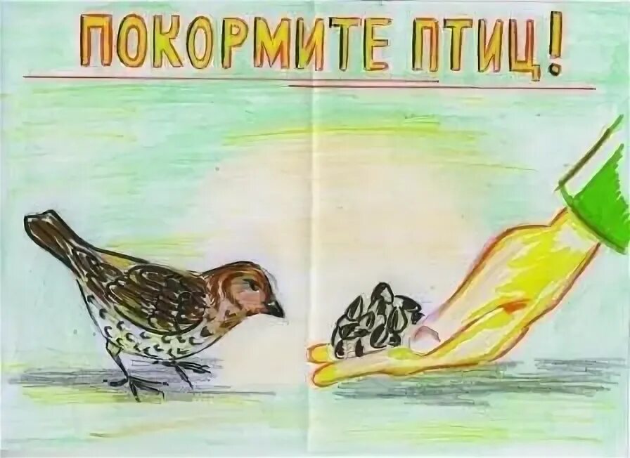 Берегите птиц рисунок. Плакат в защиту птиц. Плакат Покормите птиц. Плакат на тему берегите птиц.