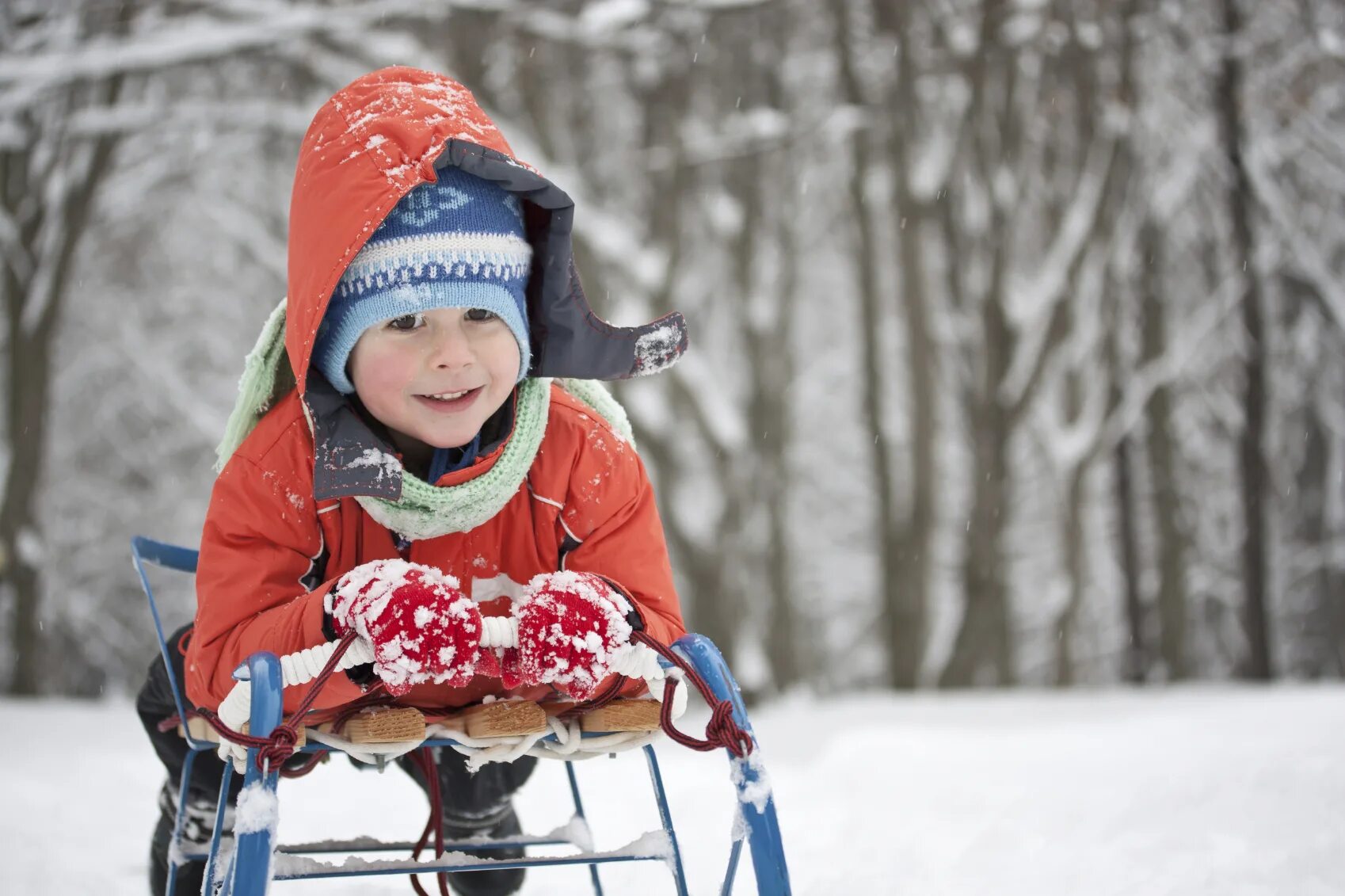 Go sledding